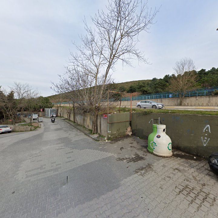 Fotoğraf 10