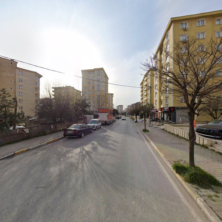 Fotoğraf 10
