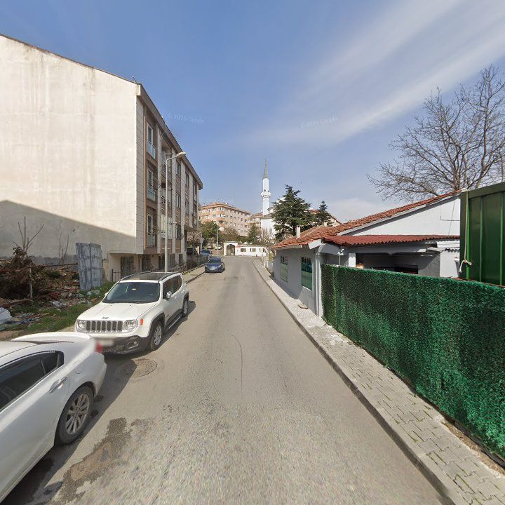 Fotoğraf 7