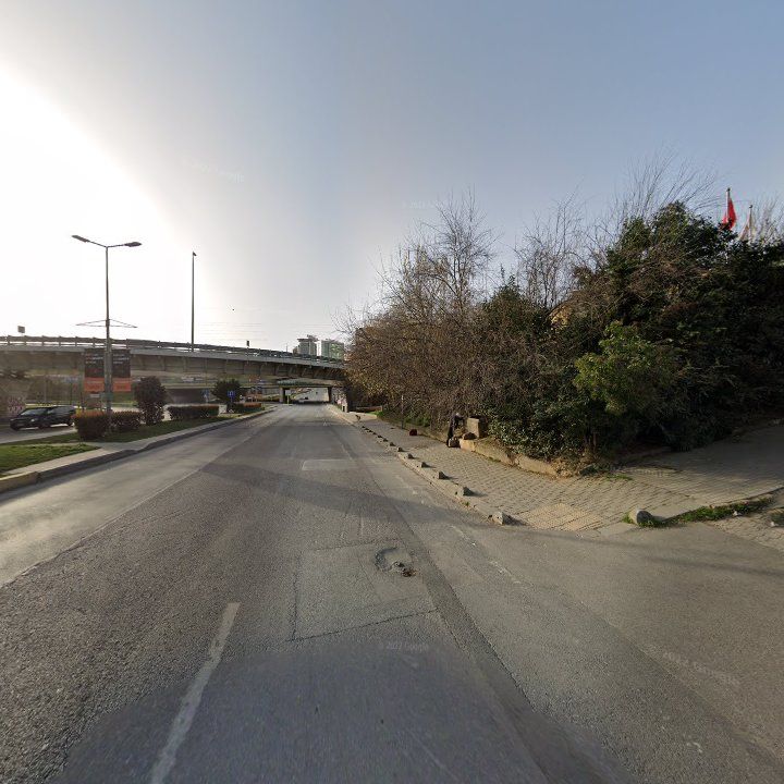 Fotoğraf 13