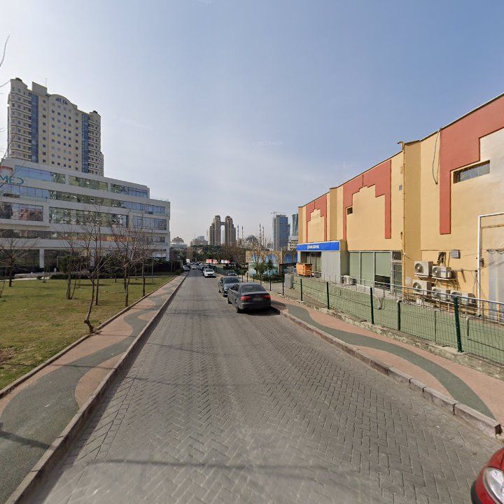 Fotoğraf 12