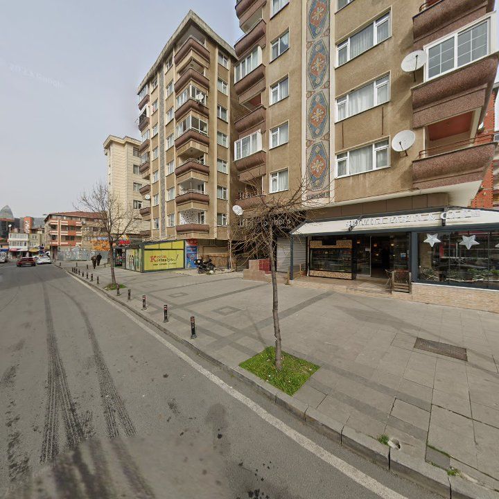 Fotoğraf 13