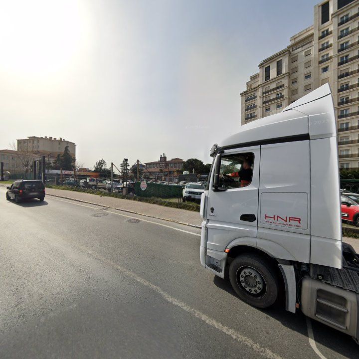 Fotoğraf 13