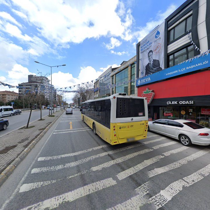 Fotoğraf 8