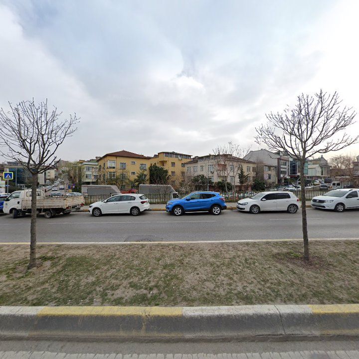 Fotoğraf 12