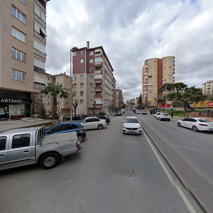 Fotoğraf 6