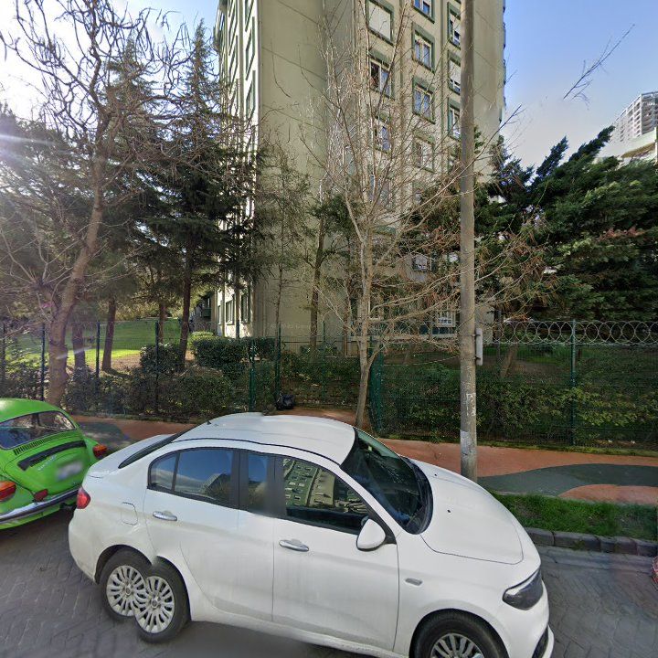 Fotoğraf 11