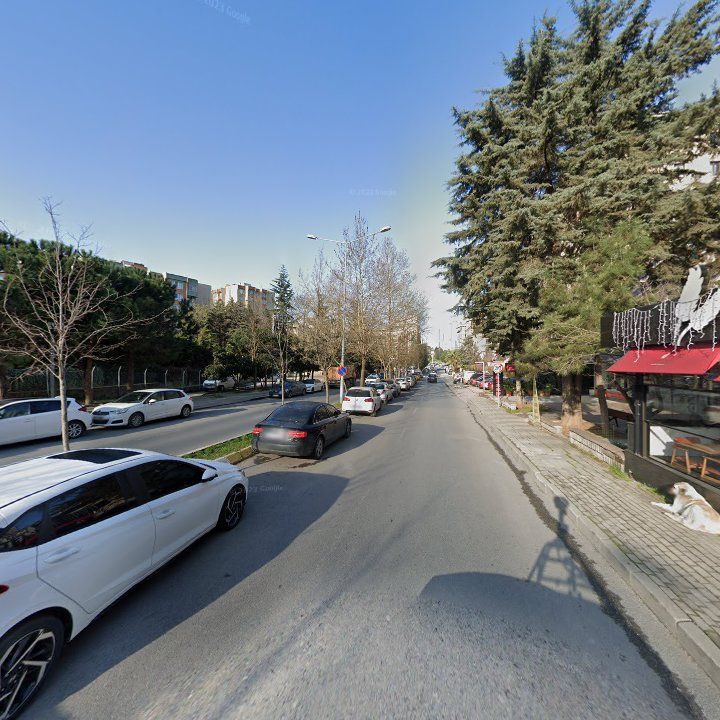 Fotoğraf 11