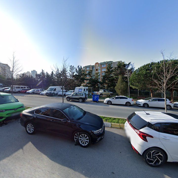 Fotoğraf 10