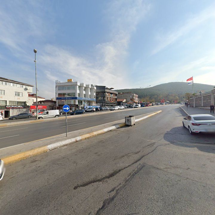 Fotoğraf 11