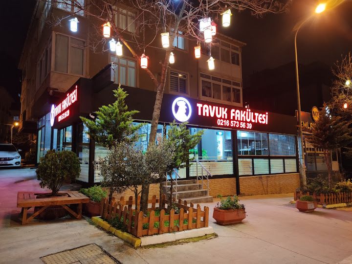Tavuk Fakültesi