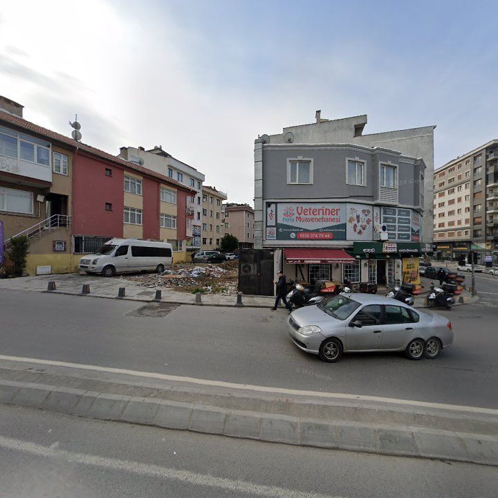 Fotoğraf 8