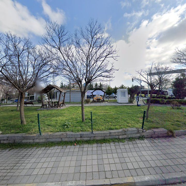 Fotoğraf 11