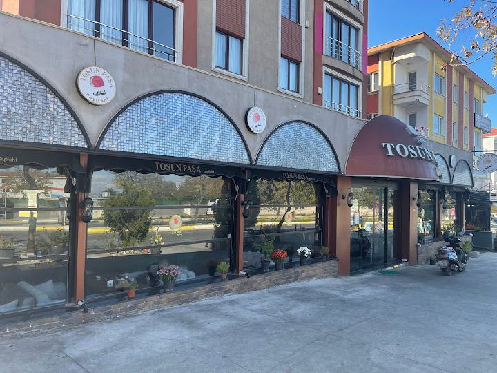 Tosun Pasa Payitaht