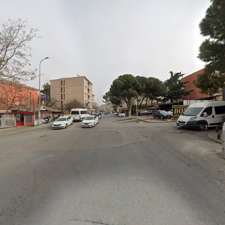 Fotoğraf 12