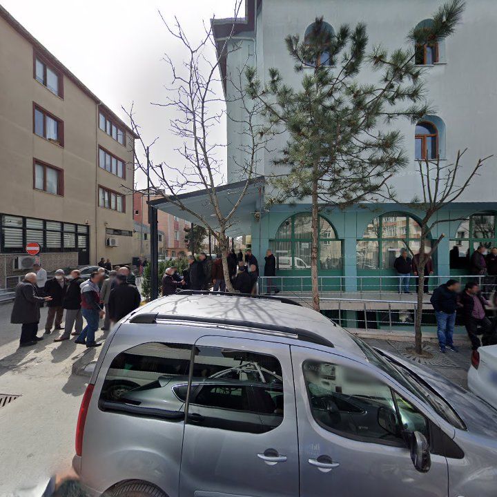 Fotoğraf 11