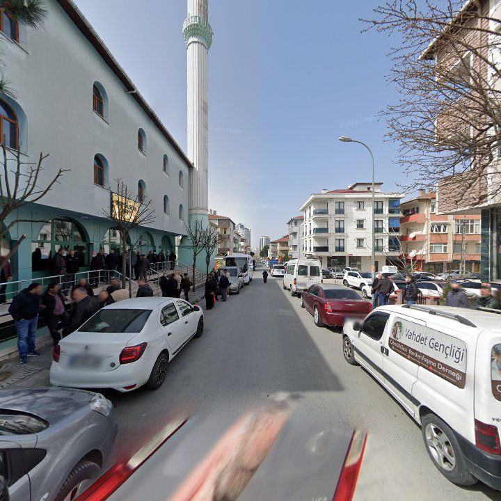 Fotoğraf 12