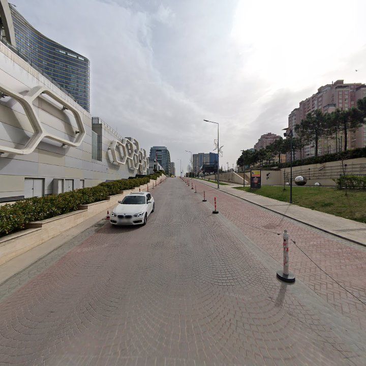 Fotoğraf 11