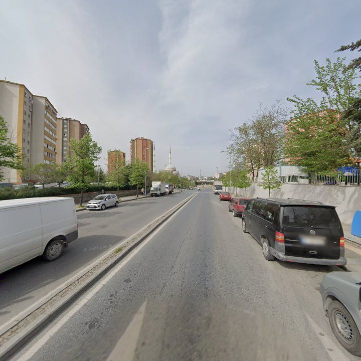 Fotoğraf 8