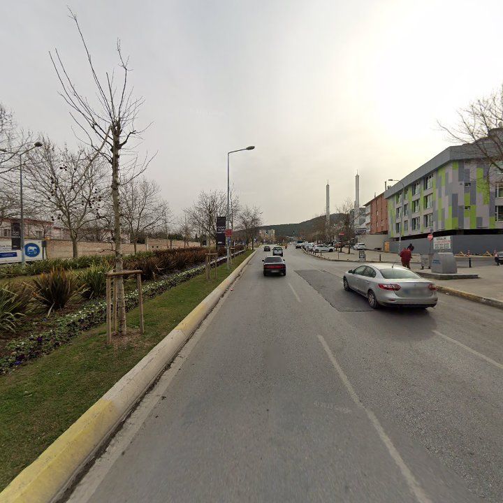 Fotoğraf 10