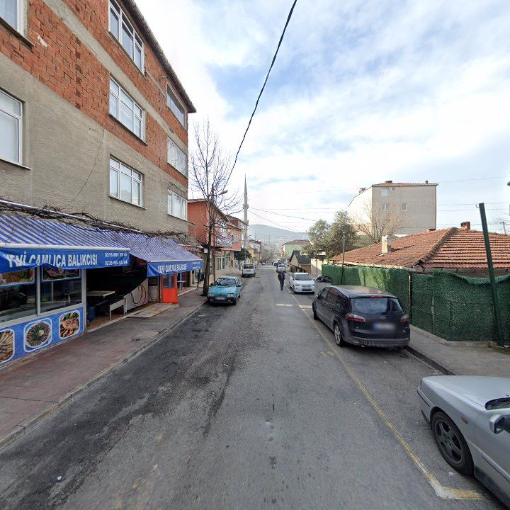 Fotoğraf 6