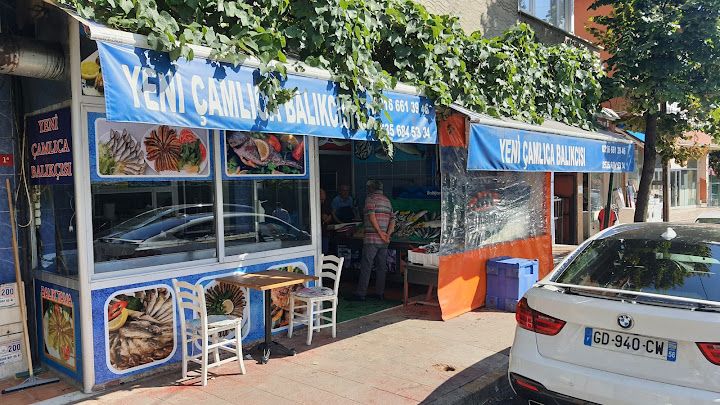 Yeni Çamlıca Balıkçısı