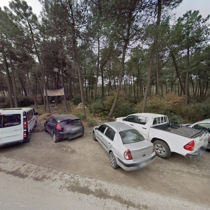 Fotoğraf 9