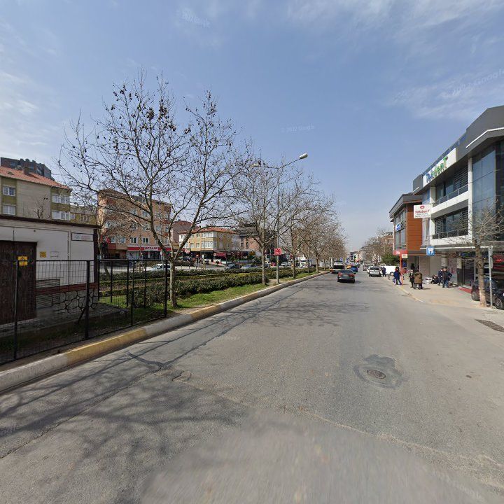 Fotoğraf 11