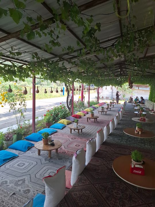 Yorum fotoğrafı 3