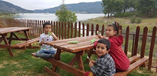 Fotoğraf 16