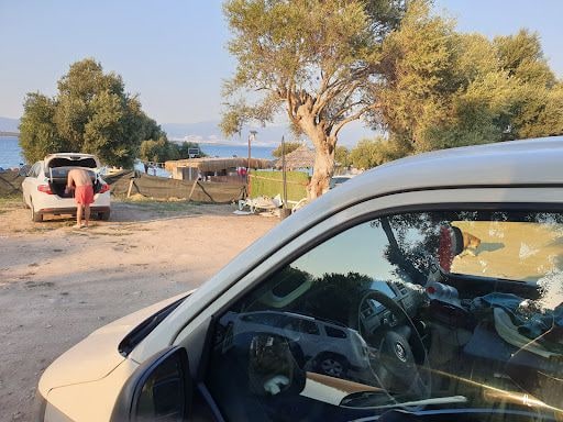 Fotoğraf 11