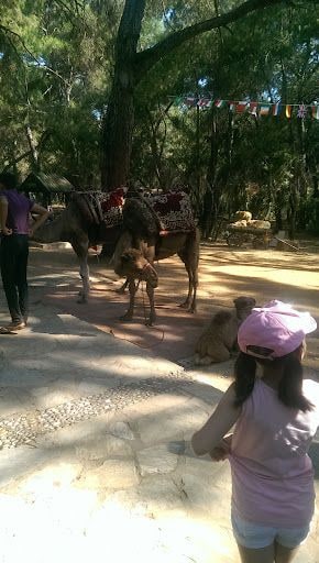 Fotoğraf 11