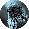 ATMACA