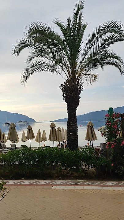 Fotoğraf 23