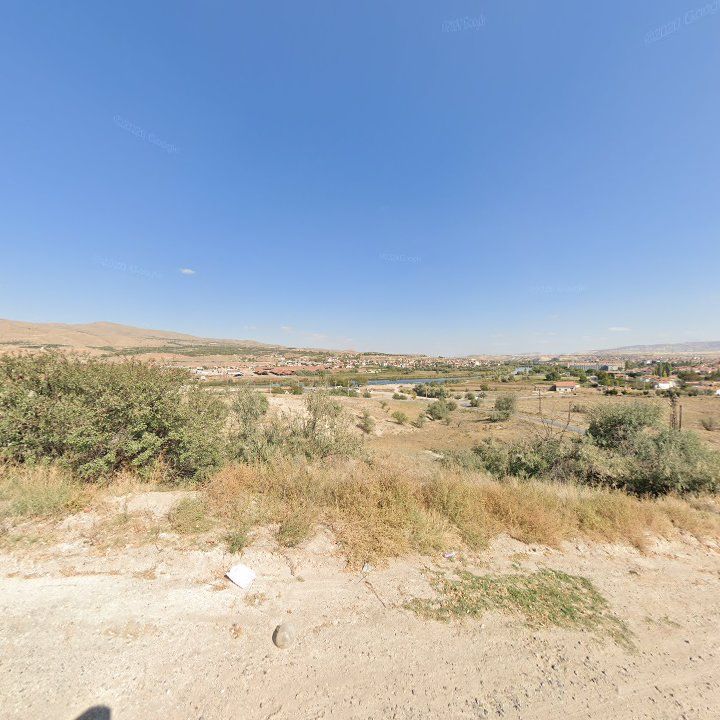 Fotoğraf 8