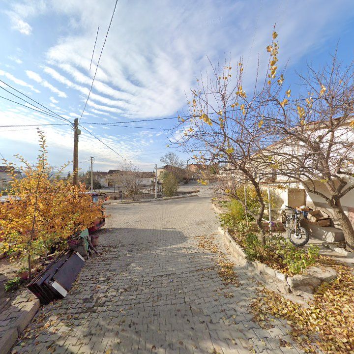 Fotoğraf 5