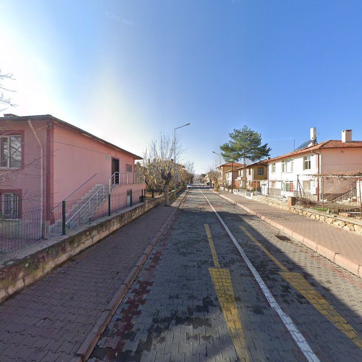 Fotoğraf 10