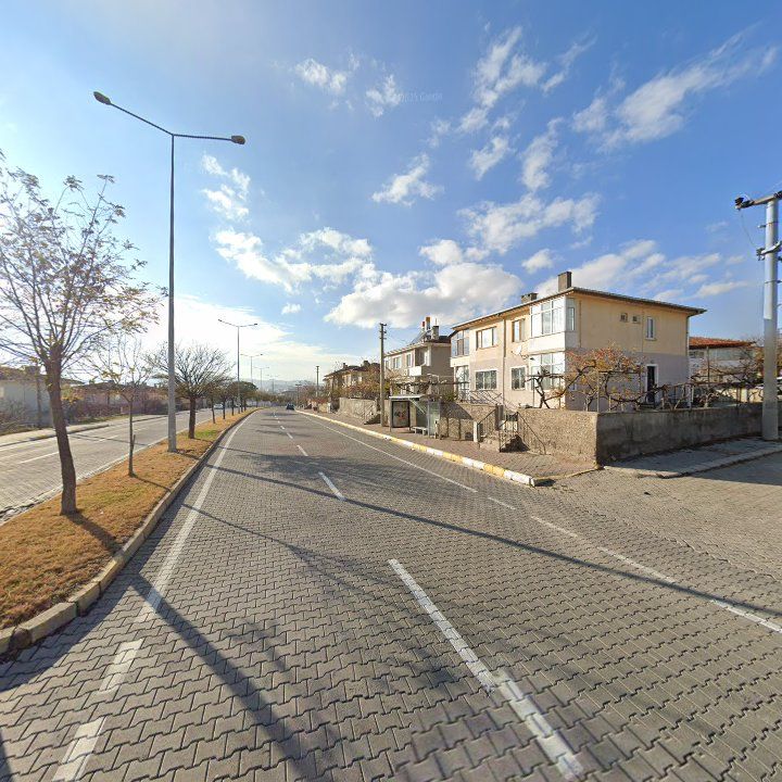 Fotoğraf 12