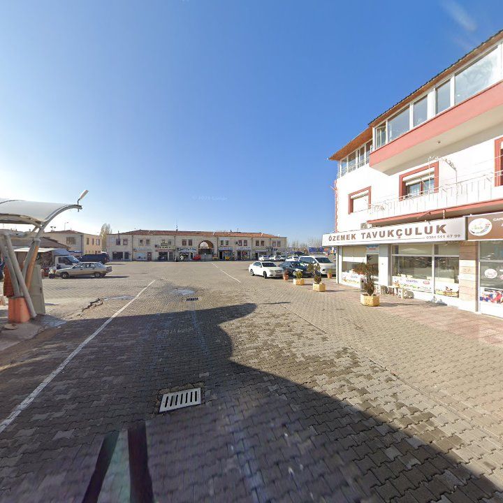 Fotoğraf 11