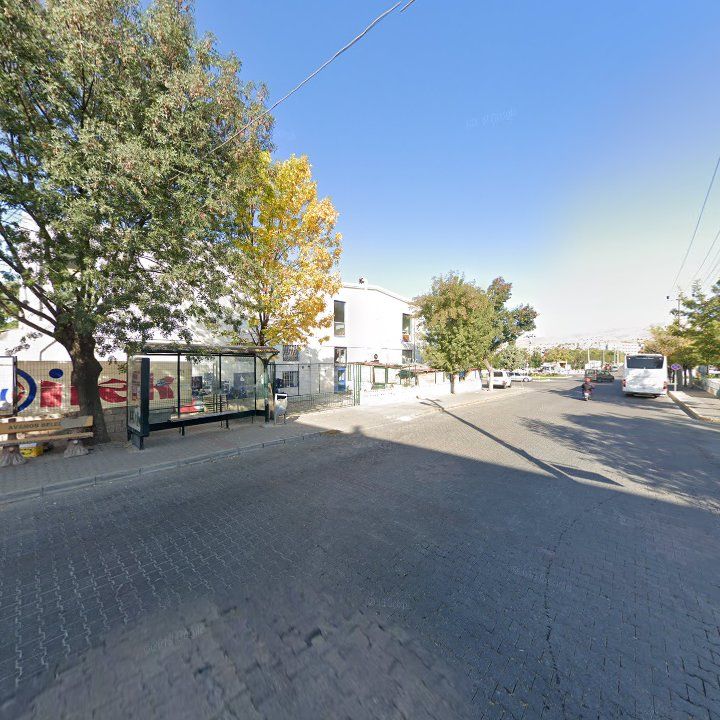 Fotoğraf 10