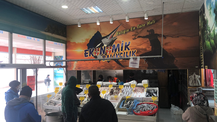 Ekonomik Balık Avanos