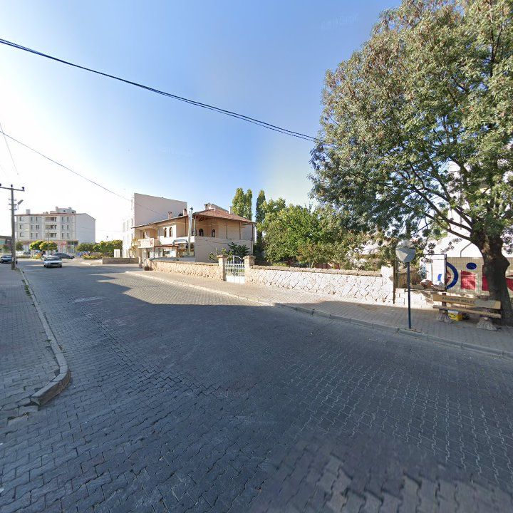 Fotoğraf 9