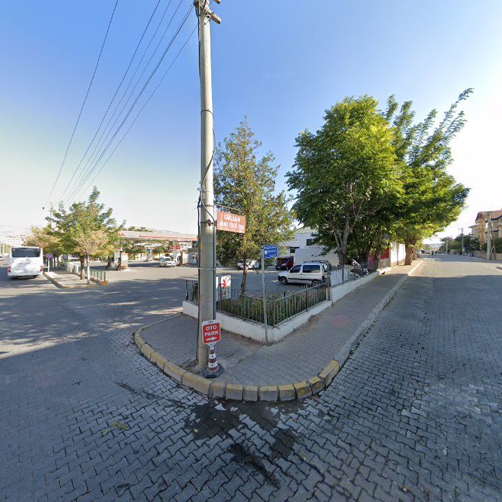 Fotoğraf 11