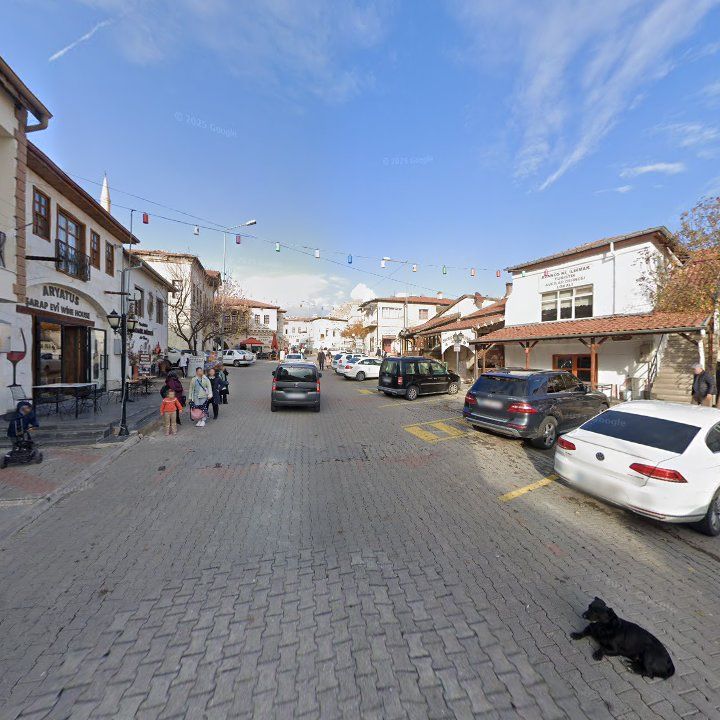 Fotoğraf 9