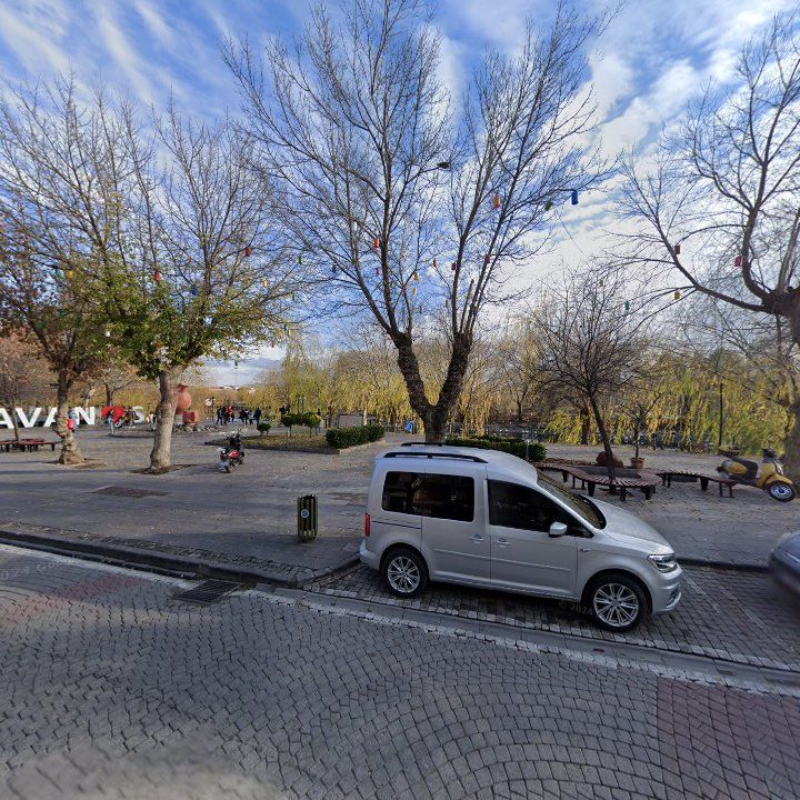 Fotoğraf 10