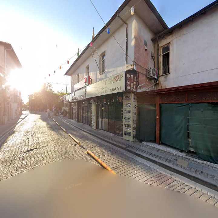 Fotoğraf 11