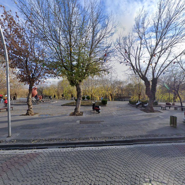 Fotoğraf 13