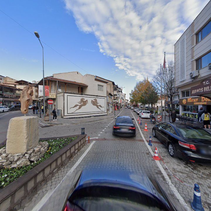 Fotoğraf 10