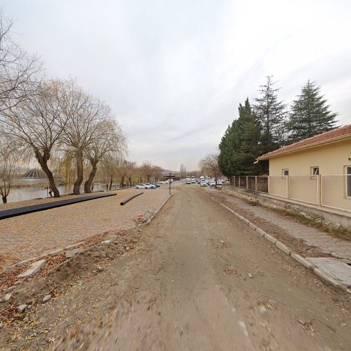 Fotoğraf 11