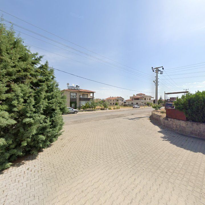 Fotoğraf 9